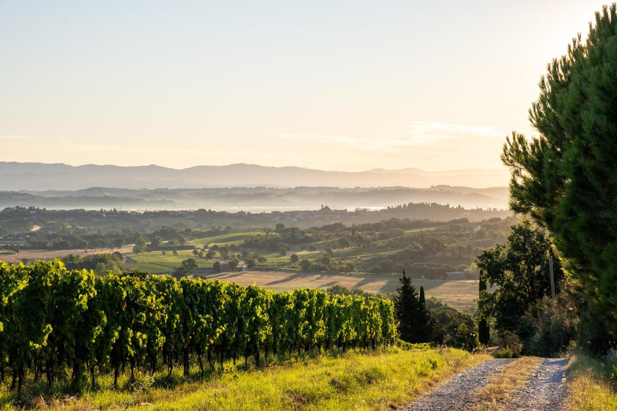 La Falconara Montepulciano Stazione エクステリア 写真